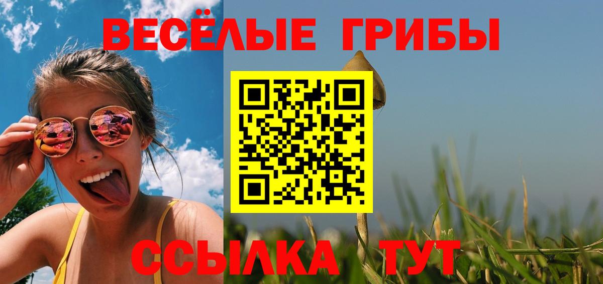 Санкт-Петербург  Псилоцибиновые грибы прущие грибы  Вход с VPN 
